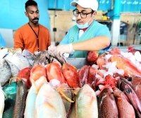 مصادر الأسماك في سوق السمك المركزي بجدة 30% من الطازج المحلي من داخل المملكة - اليوم