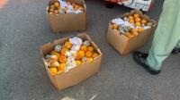 حملة مشتركة تضبط 3 أطنان ”برتقال وبطاطس“ فاسدة بالدمام
