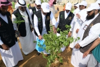 احتفاءً بيوم مبادرة السعودية الخضراء.. أمين منطقة الباحة يطلق مبادرة "تشجير"
