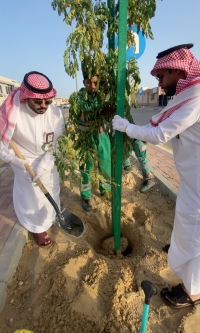 زراعة وتوزيع 9 آلاف شجرة وشتلة احتفاء بـ "السعودية الخضراء" في الشرقية