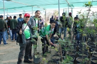 75 فردًا من الجالية الفلبينية يشاركون في مبادرة الثقافة الزراعية بالشرقية