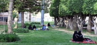 الأجواء الربيعية تجذب سكان عسير للإفطار في الحدائق العامة- واس