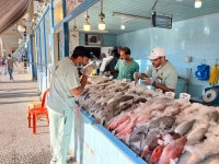"حملة الفجر" تضبط 300 كيلو جرام من الأسماك الفاسدة بسوق الجبيل المركزي