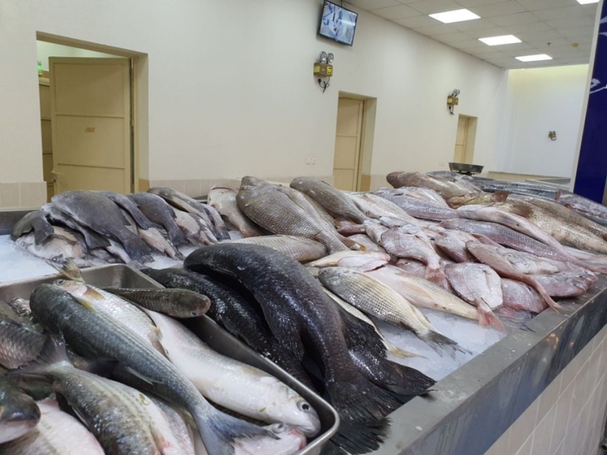  تواجد الأسماك المحلية في أسواق المنطقة الشرقية قليل هذه الأيام بسبب التغيرات الجوية- اليوم