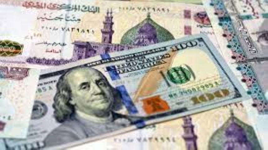 سعر الدولار مقابل الجنيه المصري في البنوك اليوم الأحد