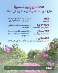 550 مليون وردة سنويًا.. مزارع الورد الطائفي أكبر سلة ورد في العالم