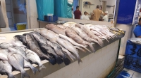 "بيئة جازان" تنفذ 3228 جولة رقابية لمتابعة الشروط الصحية بأسواق الأسماك