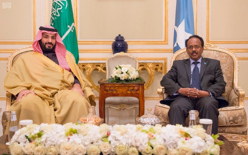 ولي ولي العهد ورئيس الصومال يبحثان التعاون الثنائي والمستجدات في المنطقة

