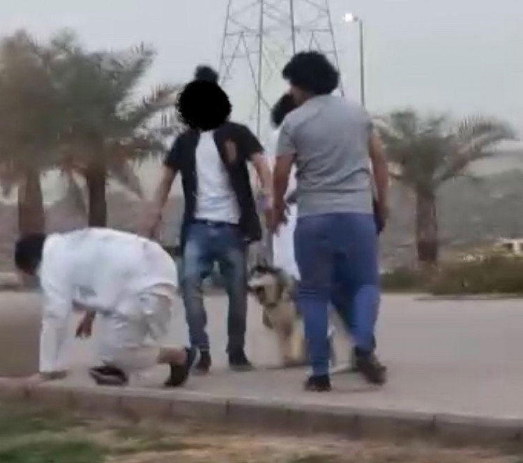 شرطة المدينة المنورة : القبض على مروعي المارة في ممشى الهجرة بكلابهم
