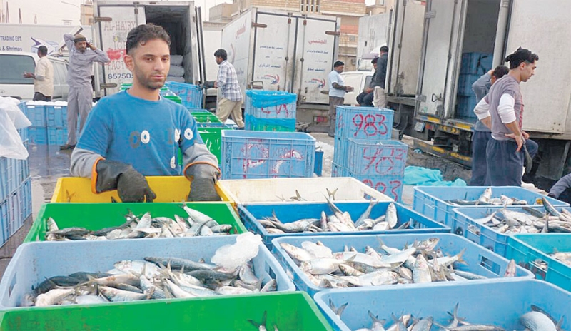 اشتراطات الصيد تستهدف ديمومة إنتاج الأسماك 