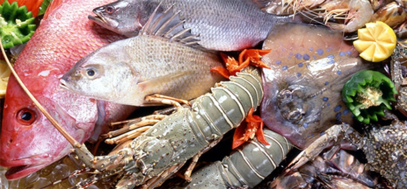 باحثون نرويجيون يؤكدون أن تجميد الأسماك لا يؤثر على نوعيتها (اليوم)