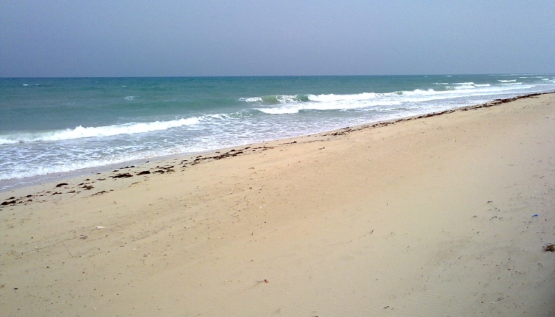 شاطئ الخفجي 