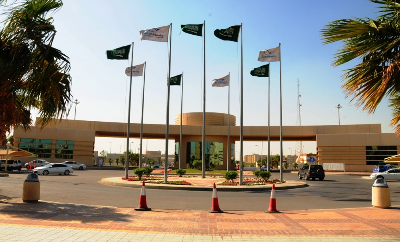 جامعة الإمام عبدالرحمن بن فيصل (اليوم)
