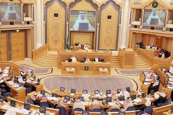 مجلس الشورى يعيد تكوين لجانه المتخصصة ويصوت على الوثيقة السكانية للمملكة