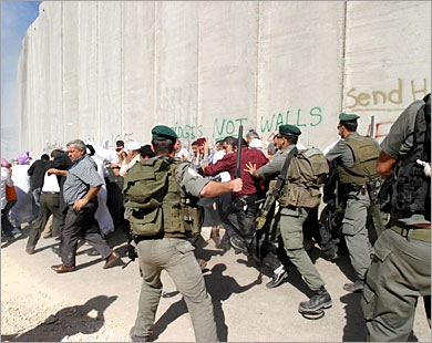 الامارات تدعو المجتمع الدولي لحماية الشعب الفلسطيني 