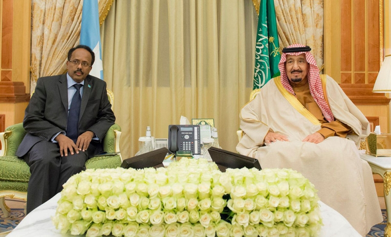 الملك والرئيس الصومالي بحثا مجالات التعاون الثنائي (واس)