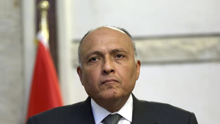 وزير خارجية مصر يؤكد أن المبادرة المصرية تهدف إلى حماية الشعب الفلسطيني
