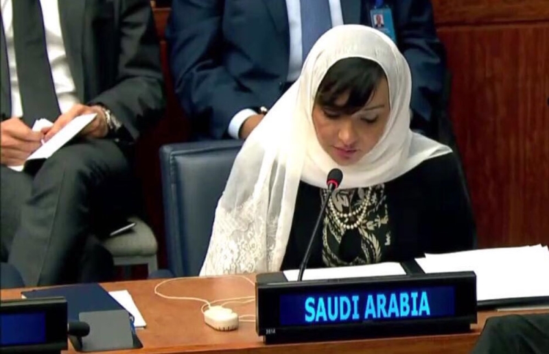 المملكة أمام لجنة أممية: ضرورة التعامل الإيجابى مع مبادرة السلام العربية
