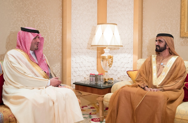 نائب رئيس دولة الإمارات خلال مباحثاته مع وزير الداخلية (واس)