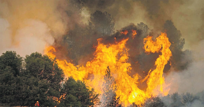 أحد الحرائق في غابة بولاية كاليفورنيا