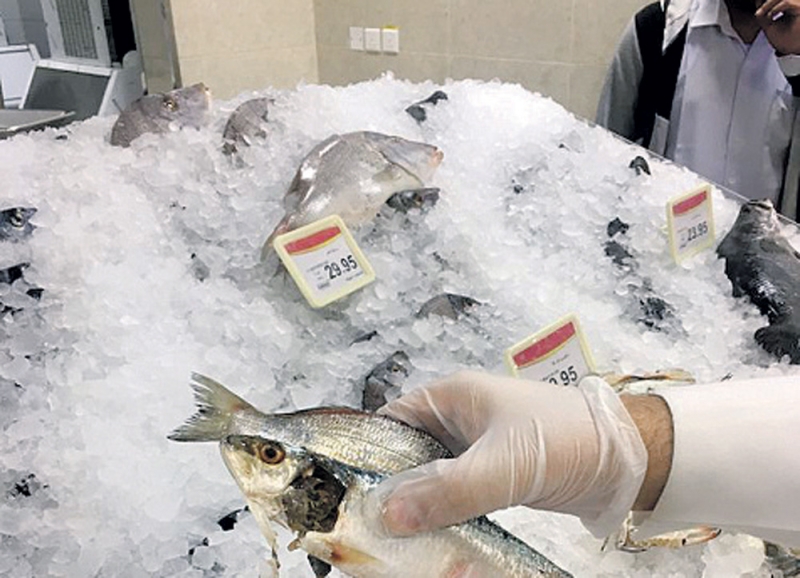 ضبط سمك غير صالح للاستهلاك (اليوم)