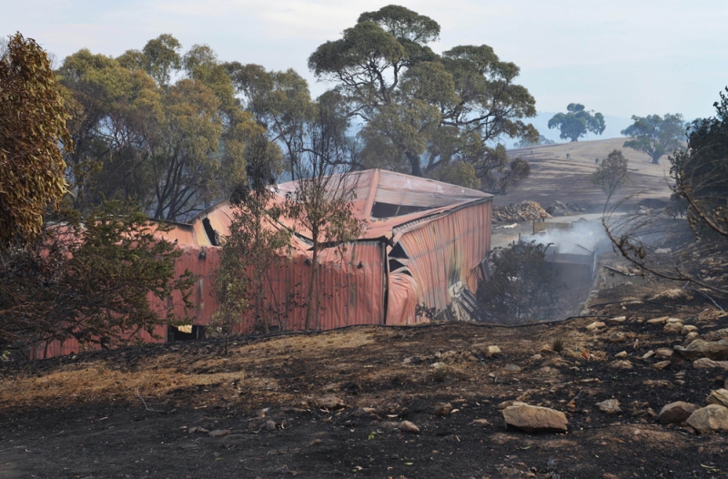 مزرعة احترقت جراء الحرائق جنوب أستراليا (أ ف ب) 