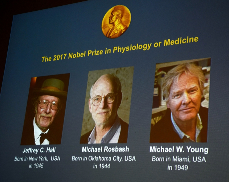  ثلاثة أمريكيين يفوزون بجائزة نوبل للطب لعام 2017

