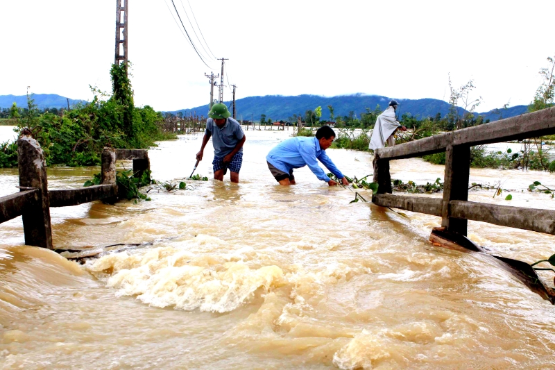 ارتفاع حصيلة ضحايا الفيضانات فى فيتنام إلى 60 قتيلا
