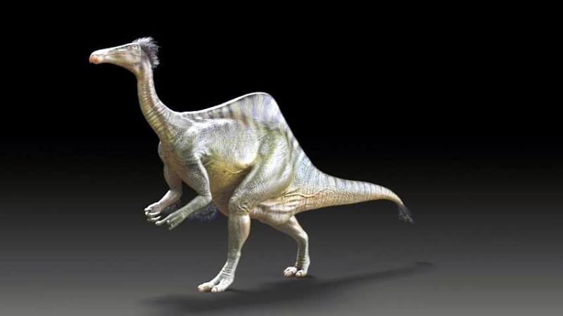 فريق بحث عالمي يحل لغز ديناصورات 