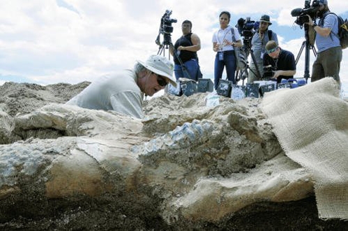 العثور على حفرية نادرة لحيوان الماستودون المنقرض في نيو مكسيكو