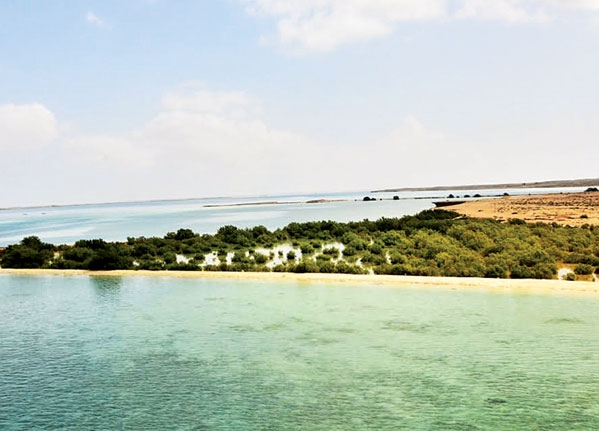 جزيرة فرسان تزخر بالعديد من المواقع الأثرية (واس) 