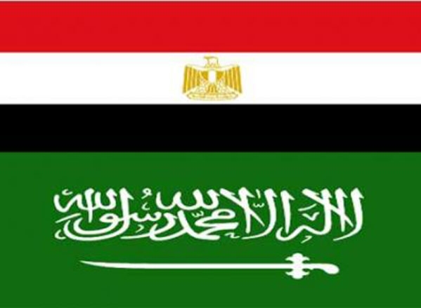 اللجنة السعودية المصرية تبحث الاستثمارات السعودية في مصر