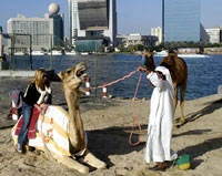  السياحة في دول الخليج بحاجة إلى مزيد من الدفع