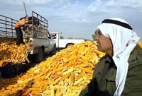 ضرورة إيجاد تكامل زراعي عربي