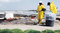 اسعار النفط تجاهلت سلبيات تأثير كارثة خليج المكسيك 