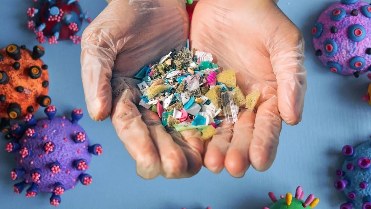 Plastic particles invade human brains, new study finds