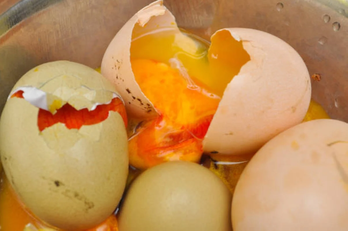 Restaurant closed for serving spoiled eggs