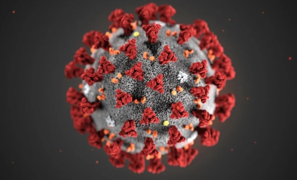 First wave COVID-19 patients at greater risk for heart attacks and strokes, study shows