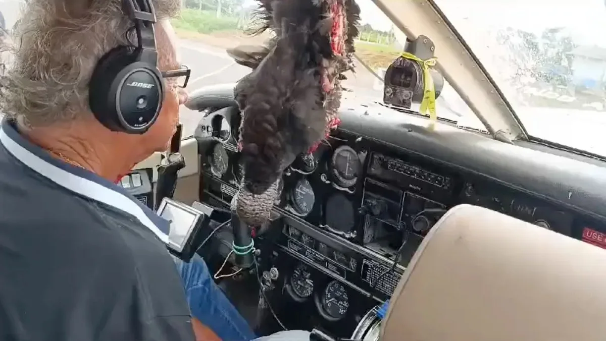 Vulture crashes through plane window, pilot's quick action saves flight