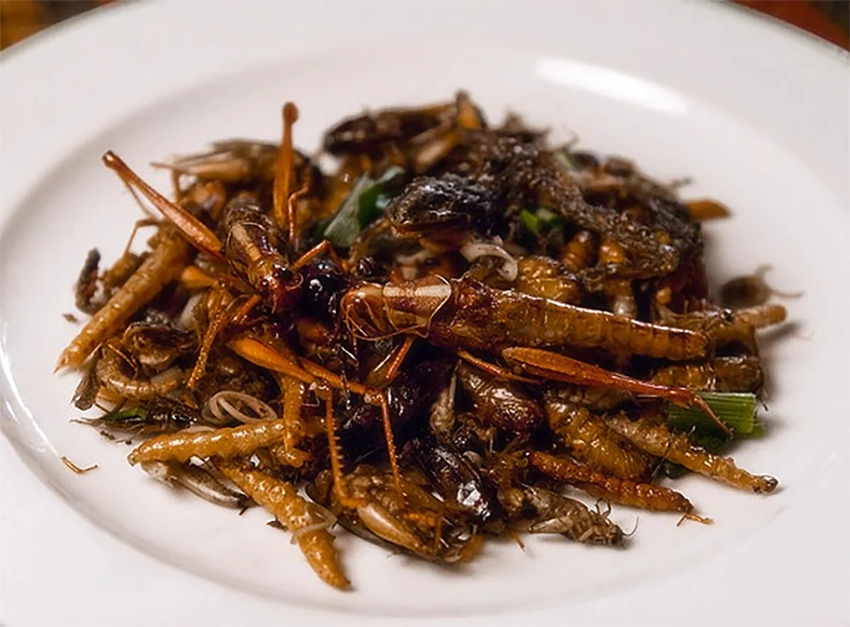 Kuwait Bans Insect-Based Food Products