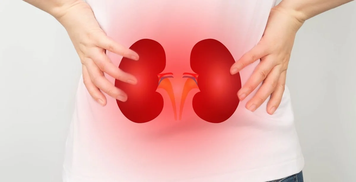 How to protect your kidneys: Simple habits for a healthier future
