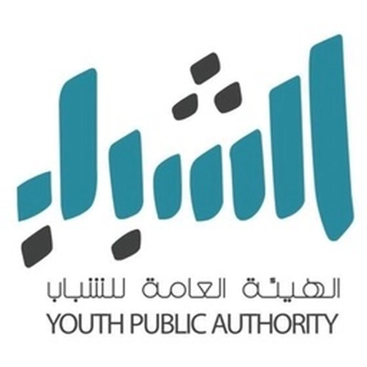 Youth empowerment central to Kuwait’s Vision 2035: PAY official