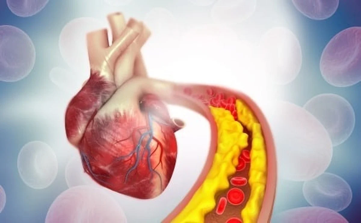 Think these foods are bad? They may actually lower your cholesterol