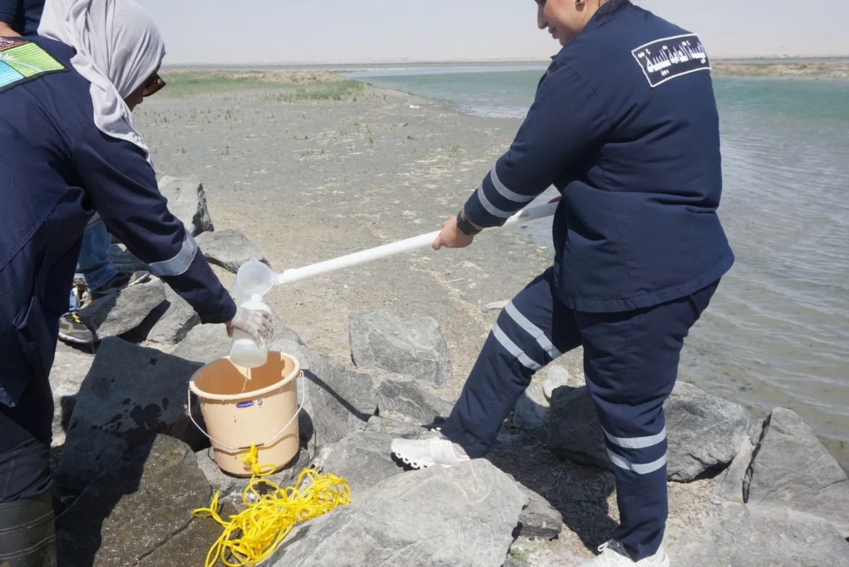 Red Tide and Dead Fish Return to Kuwait’s Shores as Temperatures Soar
