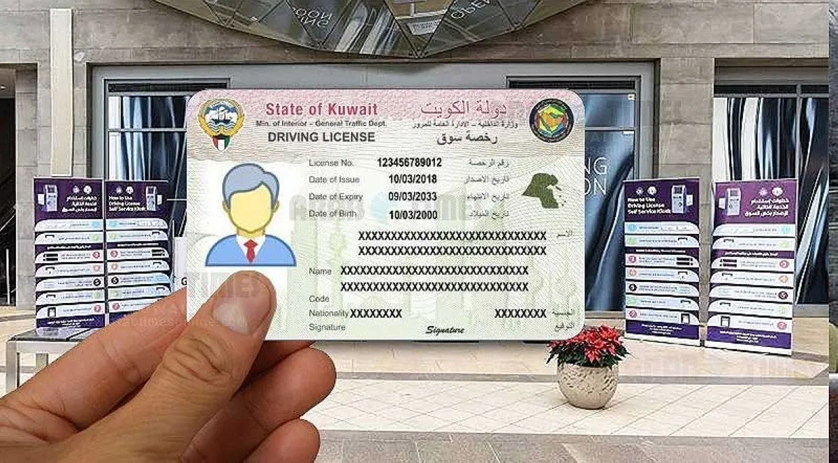 Driving Licenses of Ineligible Expats Cancelled Under New Enforcement Measures