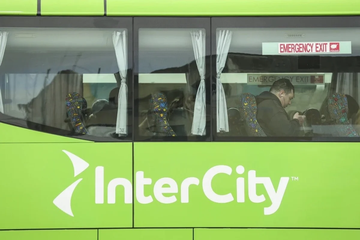 NZ woman arrested after 2-year-old girl found alive in suitcase stowed in bus luggage