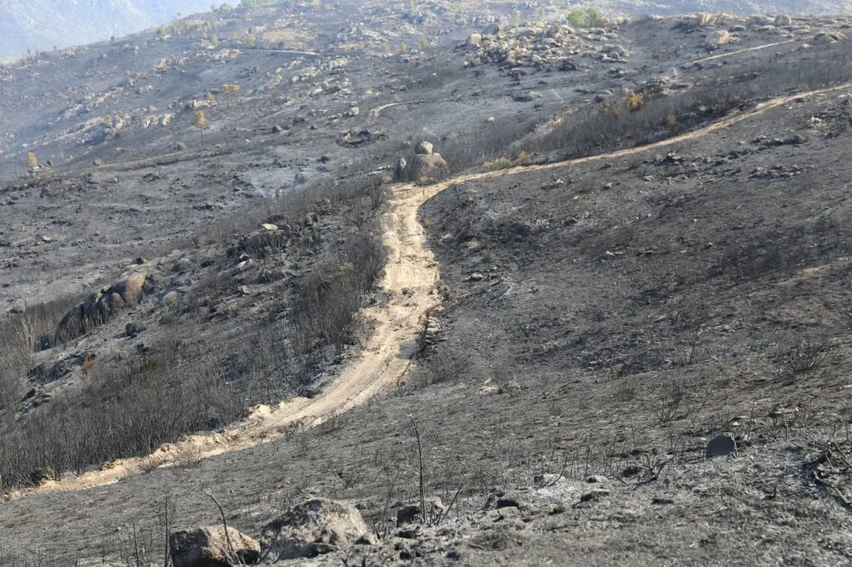 Portugal's largest wildfire brought under control