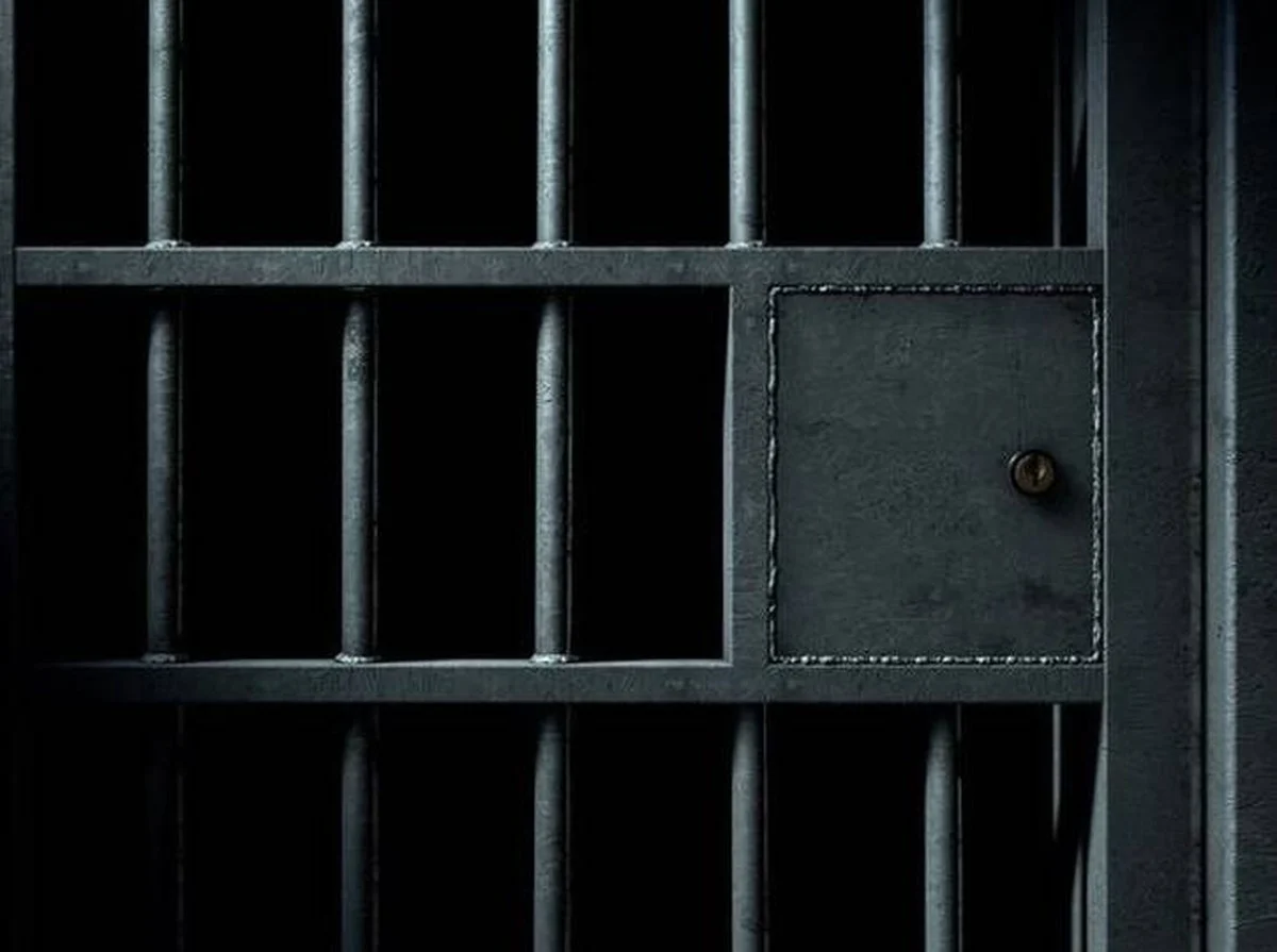 Türkiye detains 42 suspects in crackdown on organized crime network