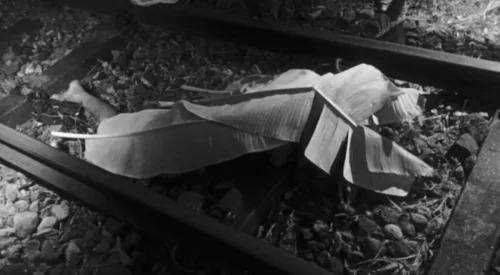 Bangkay ng mga nawawalang sabungero, itinali sa sandbag para lumubog sa  Taal Lake-Balita