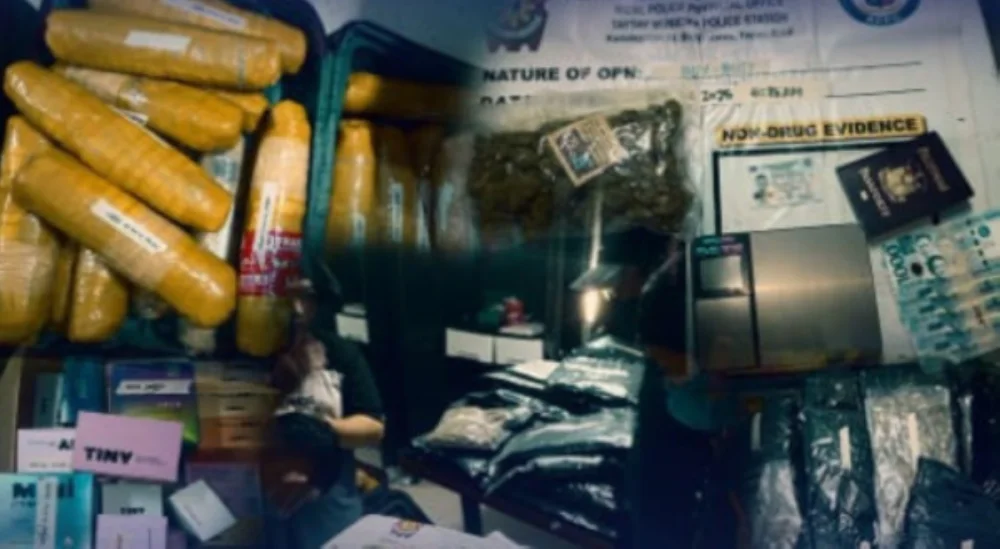 HVI, tiklo matapos masamsaman ng ₱43.86-M halaga ng marijuana